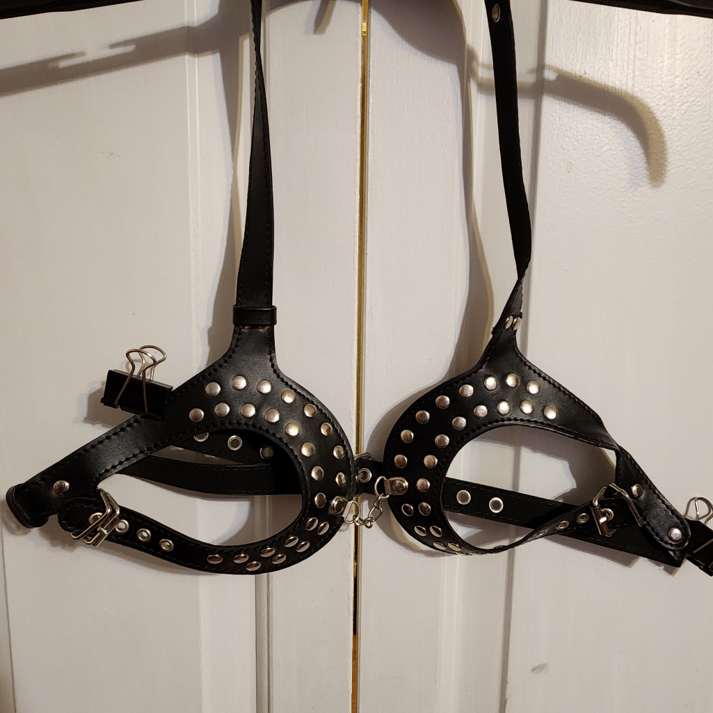 Adjustable Studded Halter.